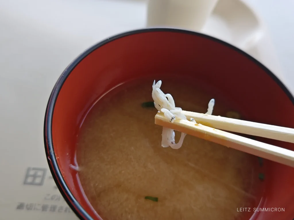 富士市【田子の浦港 漁協食堂】2026年４月１日～今期オープン！今年は重油関係で漁が多難…でも田子の生しらすはやっぱり美味しい！ダヤンテールblog