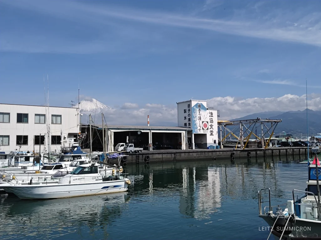 富士市【田子の浦港 漁協食堂】2026年４月１日～今期オープン！今年は重油関係で漁が多難…でも田子の生しらすはやっぱり美味しい！ダヤンテールblog