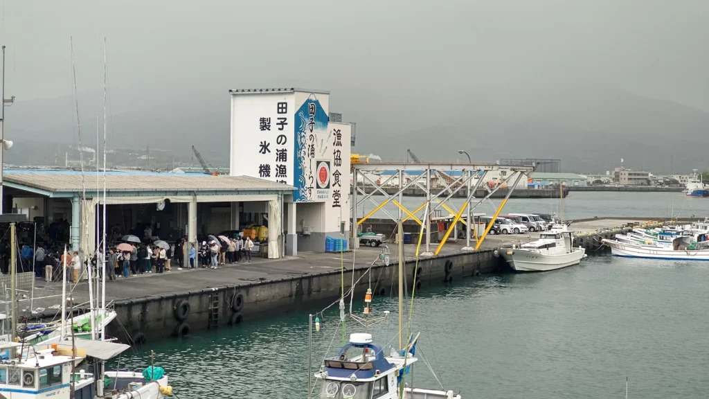 富士市【田子の浦港 漁協食堂】2026年４月１日～今期オープン！今年は重油関係で漁が多難…でも田子の生しらすはやっぱり美味しい！ダヤンテールblog