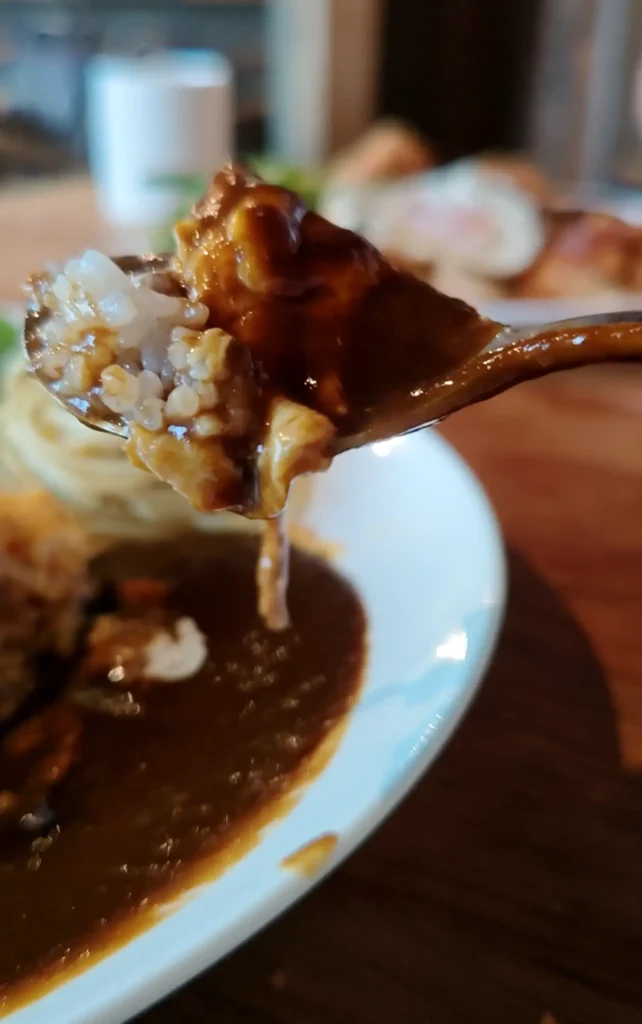 富士宮市BARのランチ【バージャニャーラ（Bar lla nala）】濃厚カレーや大人のハヤシライス、大人様ライス的なコンボに大満足！ダヤンテールblog