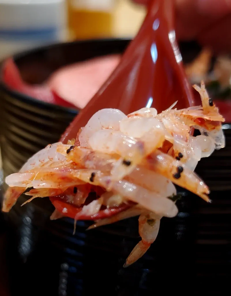 富士市【SHOWAN EXPRESS】新富士駅構内の商業施設『ASTY新富士』にオープンした和食お食事処！ダヤンテールblog