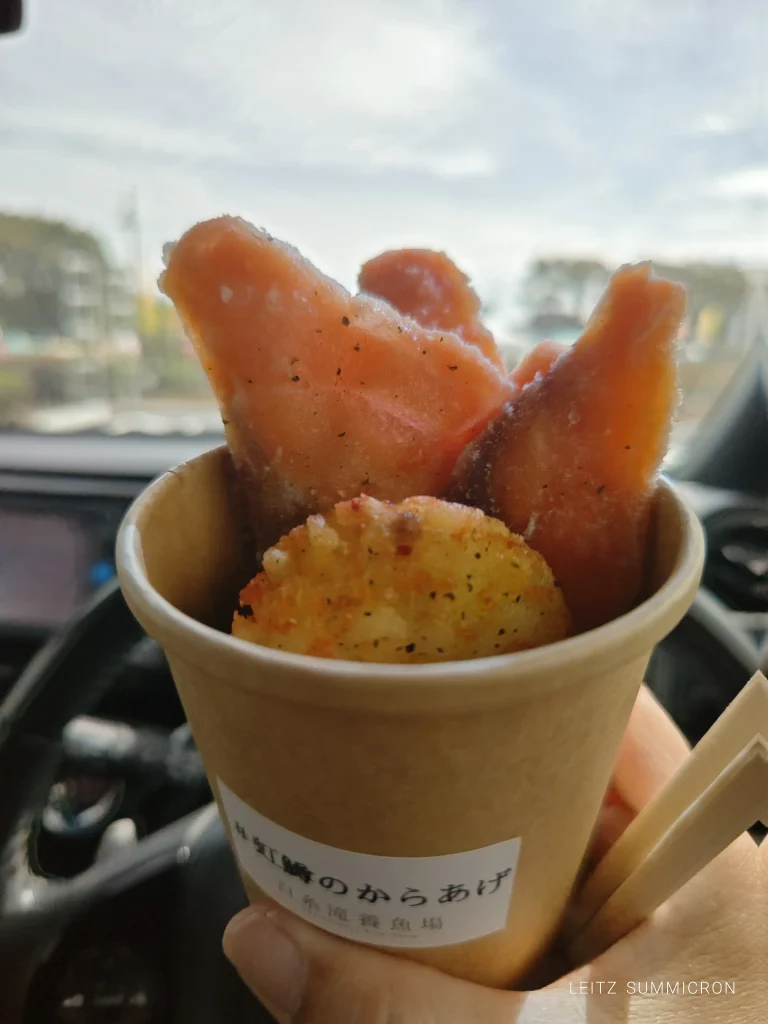 富士宮市【白糸滝トラウトカフェ】要予約カフェ！自社養鱒の巨大ニジマスをベストな状態でカフェランチで『お刺身定食』に！ダヤンテールblog