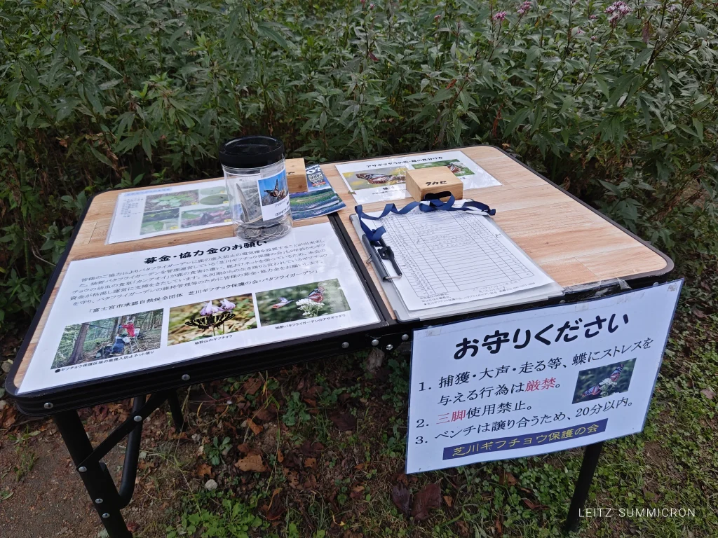 2026年富士宮市柚野【バタフライガーデン（興徳寺）】への飛来を10月18日確認！富士山とアサギマダラの共演｜ダヤンテールblog