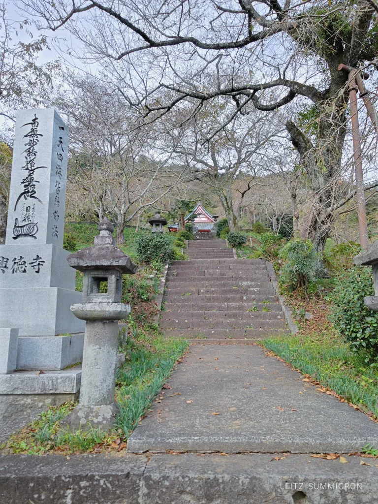 2026年富士宮市柚野【バタフライガーデン（興徳寺）】への飛来を10月18日確認！富士山とアサギマダラの共演｜ダヤンテールblog