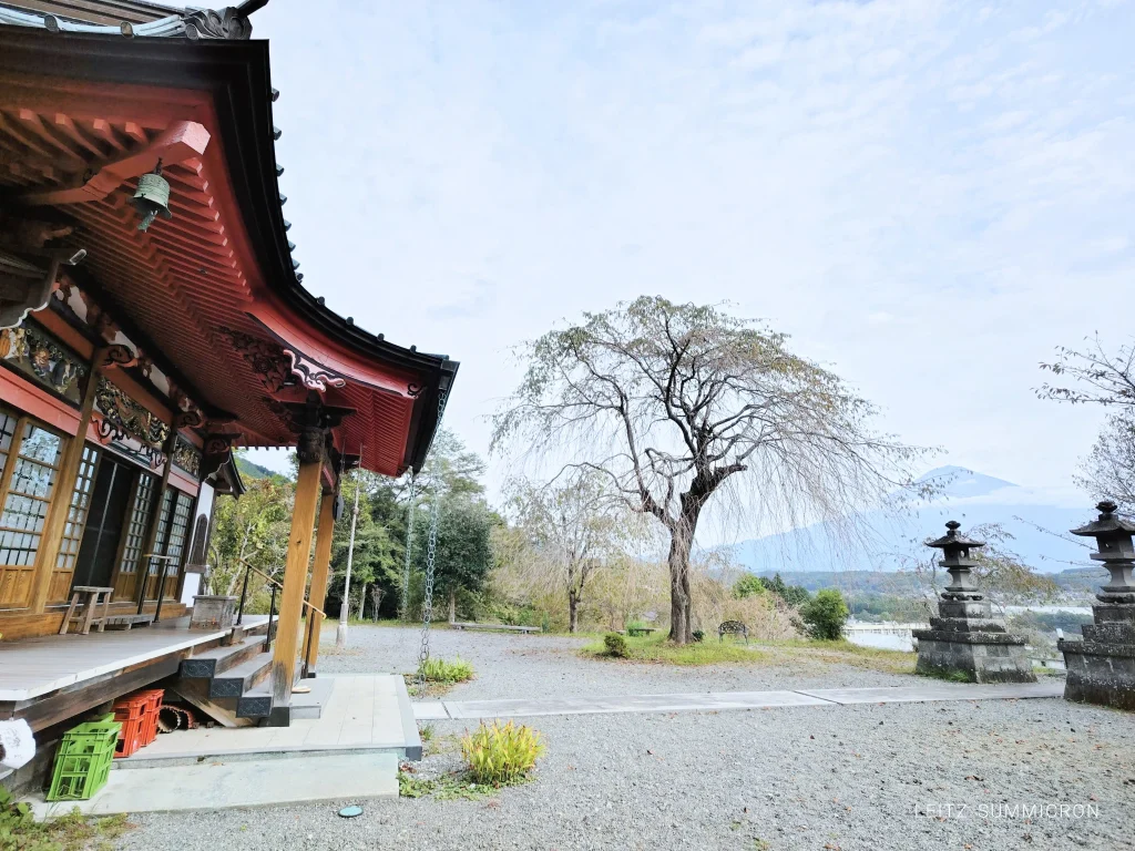 2026年富士宮市柚野【バタフライガーデン（興徳寺）】への飛来を10月18日確認！富士山とアサギマダラの共演｜ダヤンテールblog